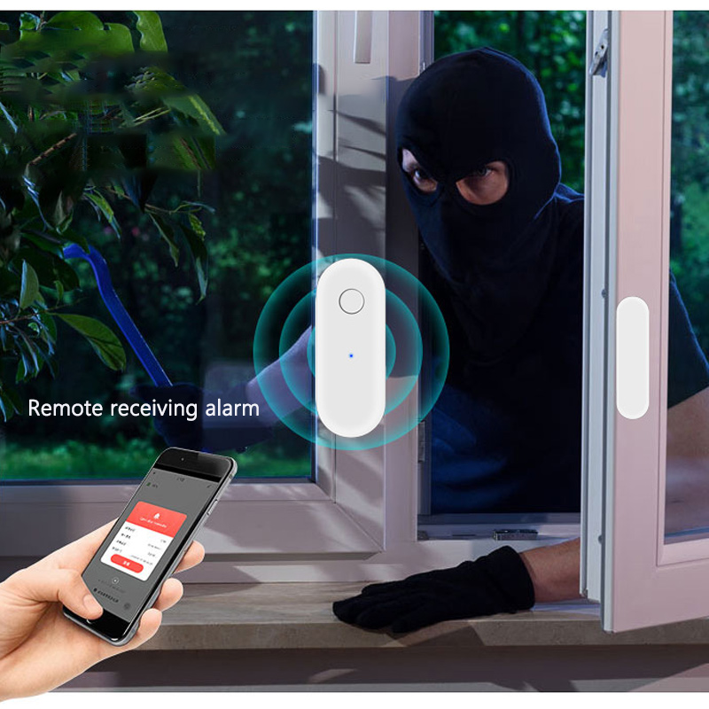Window Alarm Sensor - Alarma de Recepción Remota, Detector Magnético