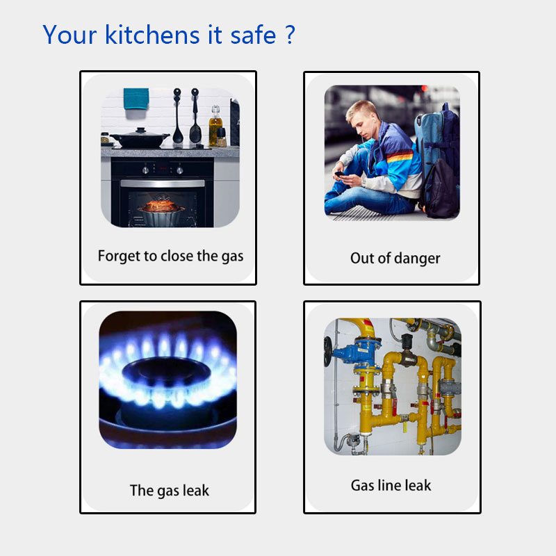 Detector de Gas inalámbrico, S - Home Security Alarm System reseña y precio