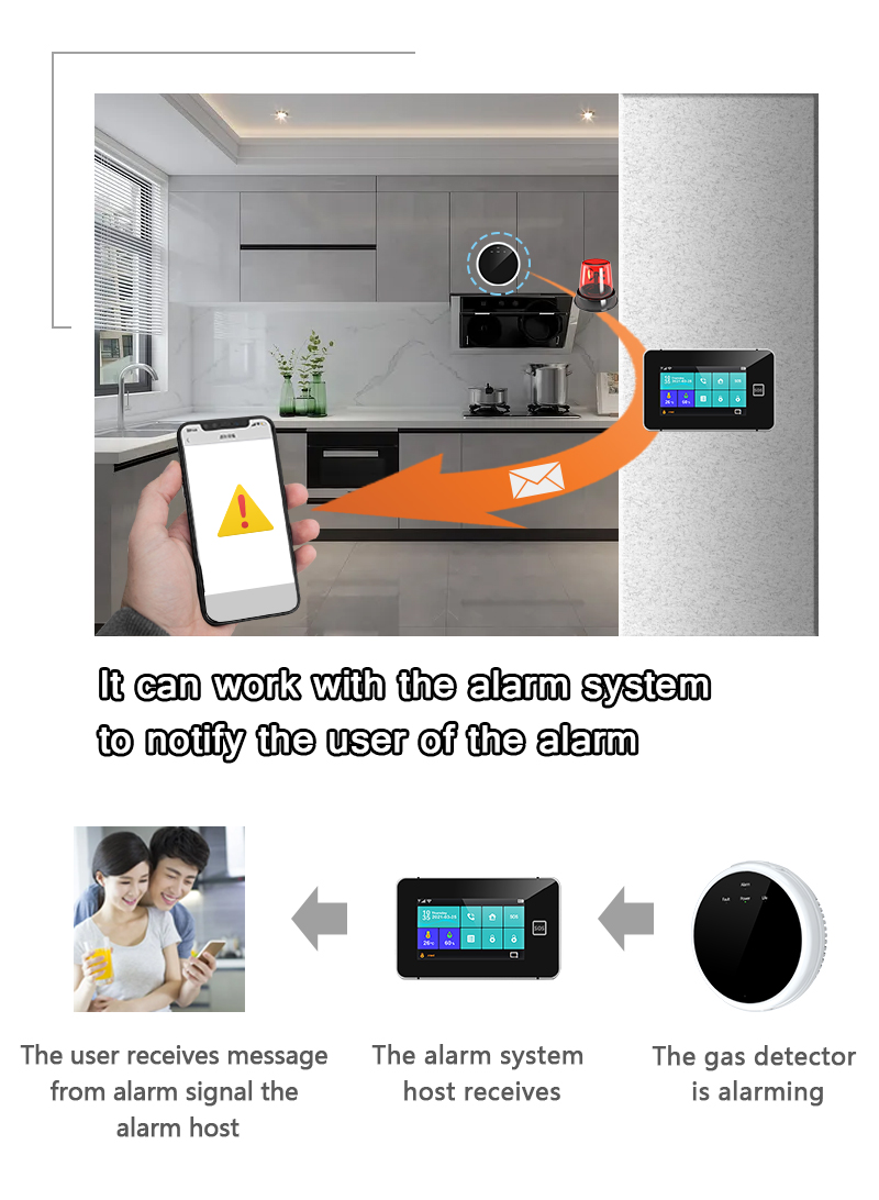 Detector de Gas inalámbrico, S - Home Security Alarm System reseña y precio