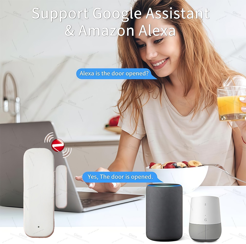 Sensor de puerta y ventana Zig - Window Alarm Sensor reseña y precio